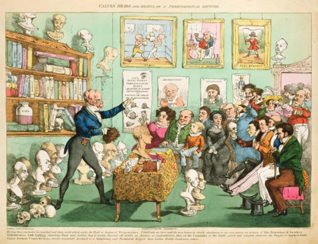 Detail of Calves' Heads and Brains; or a Phrenological Lecture, 1826 by English School