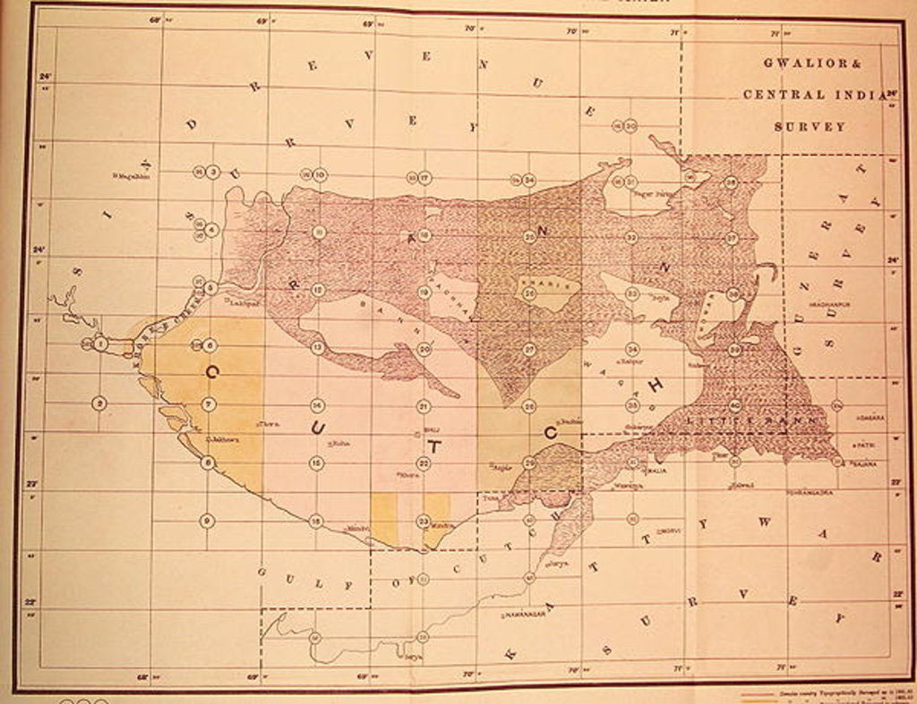 Detail of Index Chart of the Cutch Topographical Survey by the Trigonometrical Branch, Survey of India, Dehra Dun, November, 1883 by English School