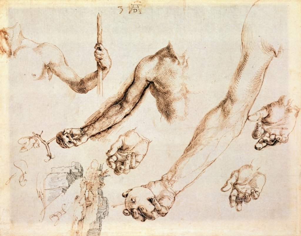 Detail of Study of male hands and arms by Albrecht Dürer or Duerer