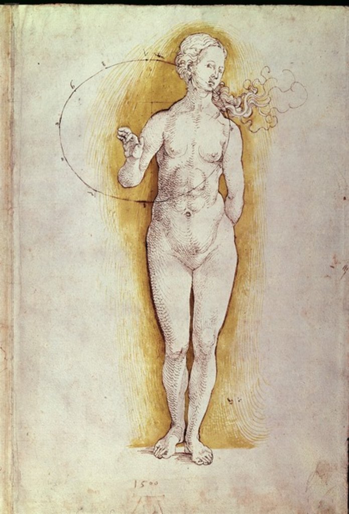 Detail of Female nude by Albrecht Dürer or Duerer