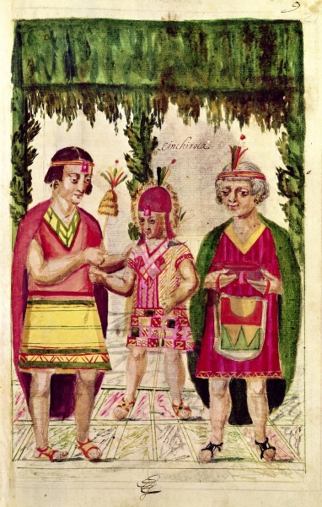 Detail of Illustration of Cincheroca by Spanish School