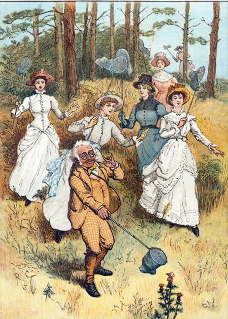 Detail of The Professor's Class by Randolph Caldecott