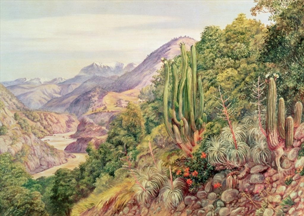 Detail of The Streams of Languenas in the Cordellera, Chile by Anonymous Anonymous