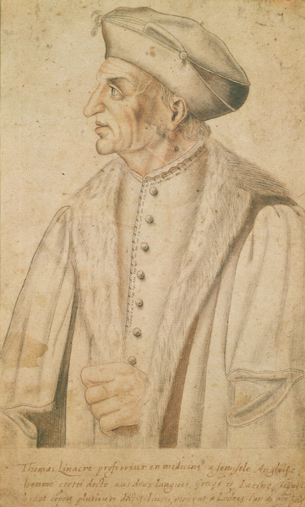 Detail of Thomas Linacre by French School