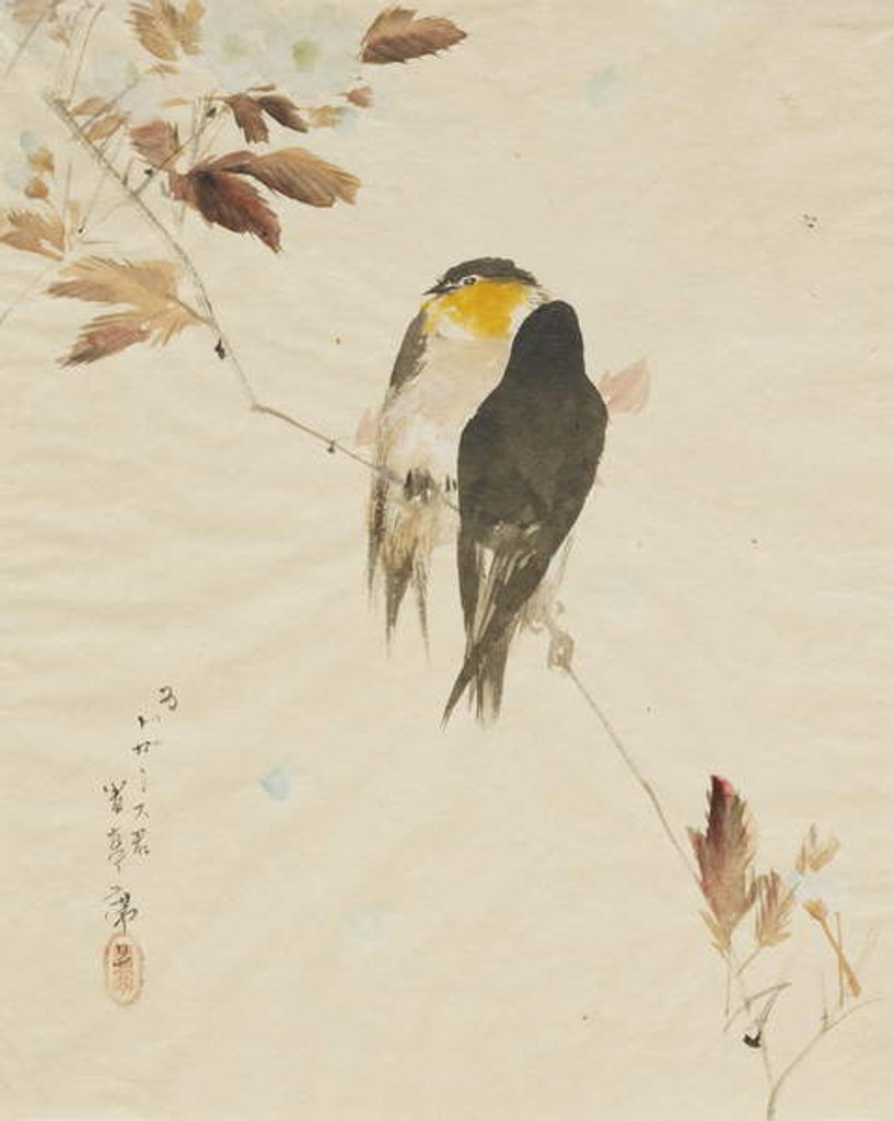 Detail of Birds on a Branchm, 1871-1917 by Watanabe Seitei
