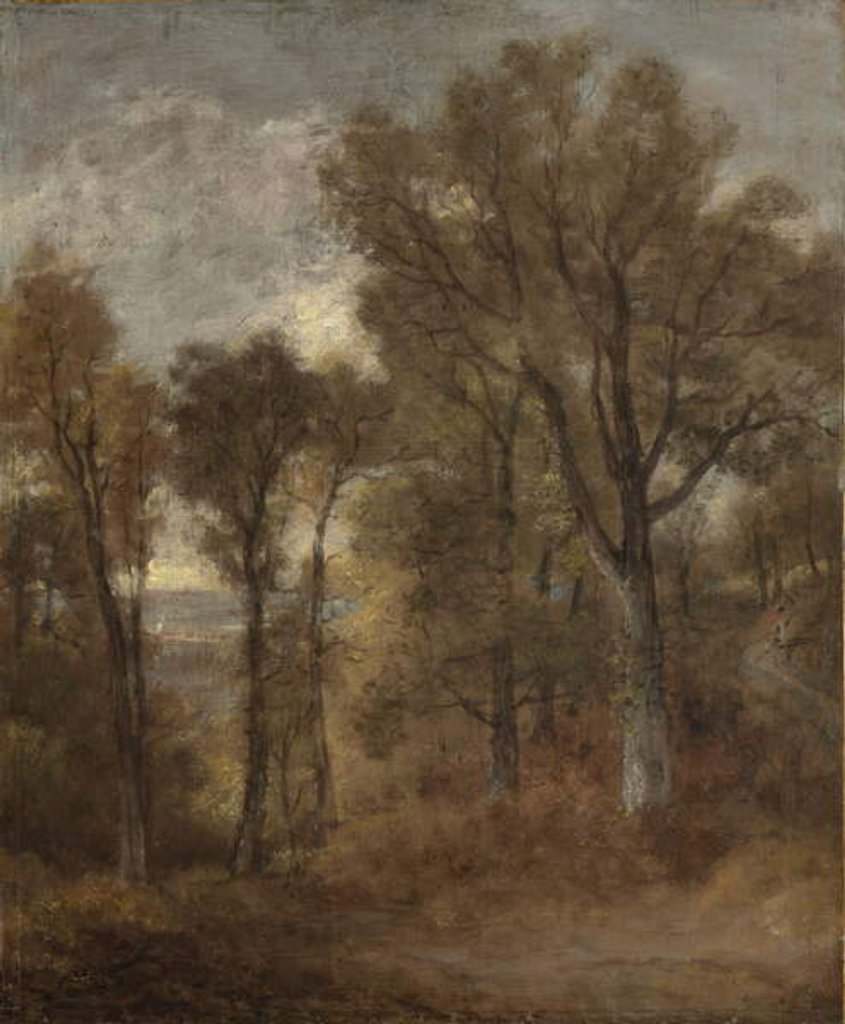 Detail of Woodland scene overlooking Dedham Vale, c.1802-03 by John Constable