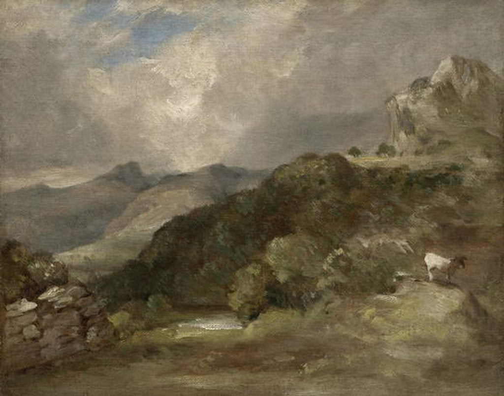 Detail of Bow Fell, Cumberland, 1807 by John Constable