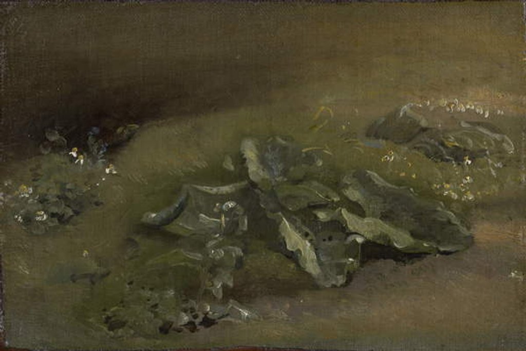 Detail of Study of a Burdock, c.1810-14 or c.1828 by John Constable