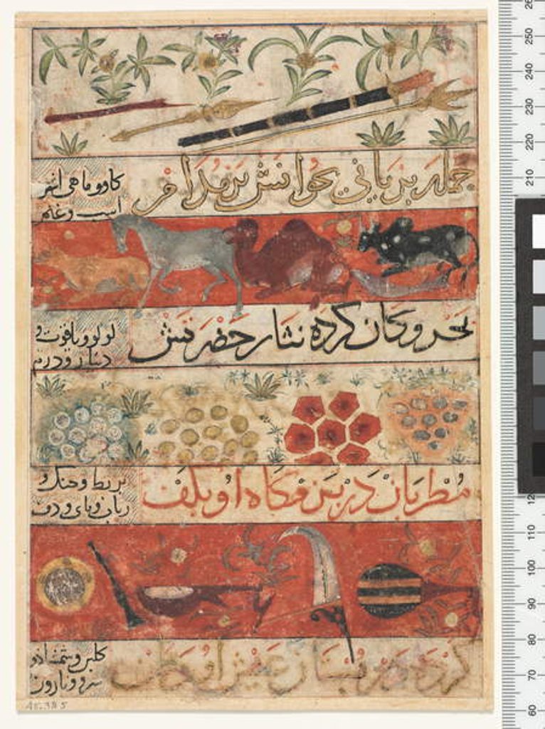 Detail of Animals, Precious Stones, Coins and Musical Instruments, Ilkhanid Period, 1341 by Persian School