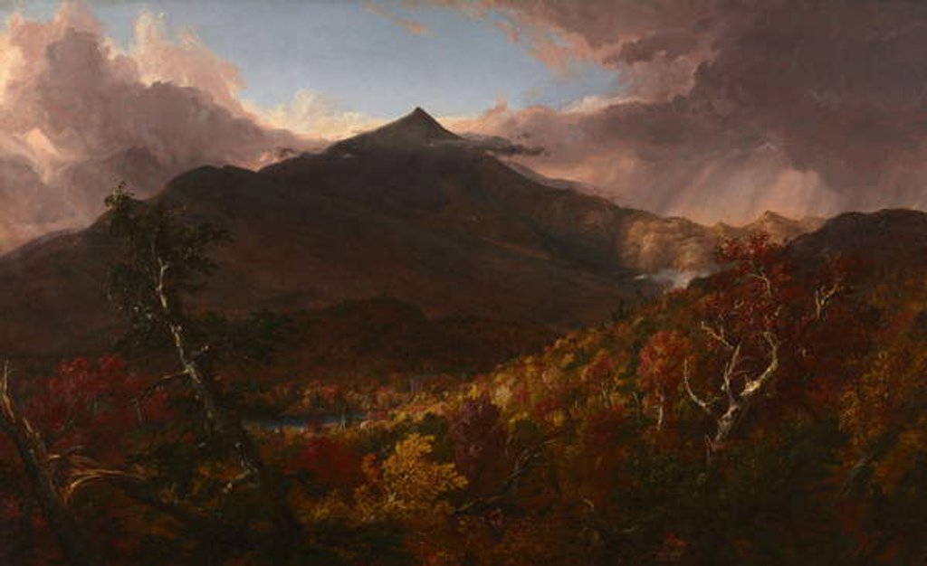 Detail of View of Schroon Mountain, Essex County, New York, After a Storm, 1838 by Thomas Cole