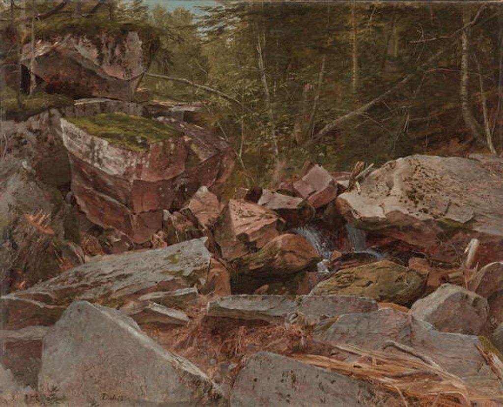 Detail of Study, North Conway, New Hampshire, 1851 by David Johnson