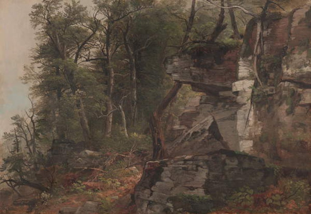 Detail of Trees on a Rocky Hillside, c.1849 by Asher Brown Durand