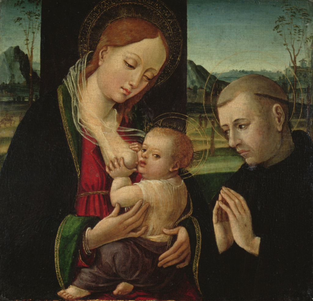 Detail of Madonna feeding the Christ Child, c.1500-30 by Ambrogio Borgognone