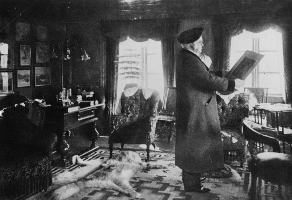 Detail of The Norwegian writer Bjoernstjerne Bjoernson by German Photographer