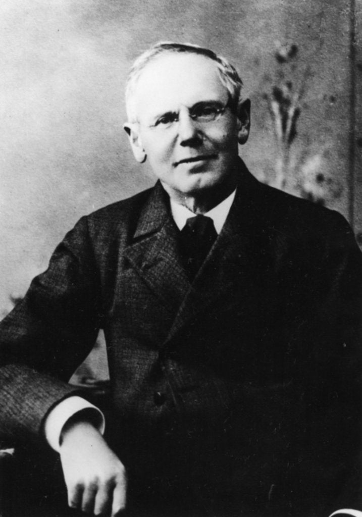 Detail of Portrait of Austrian poet Peter Rosegger by German Photographer