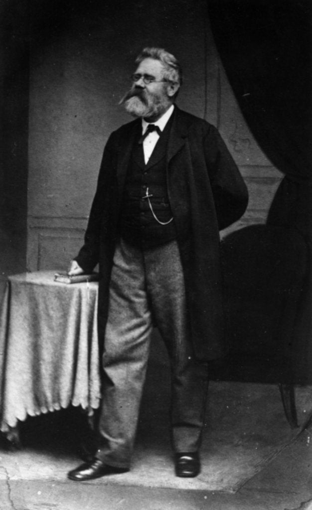 Detail of Portrait of German novelist Fritz Reuter by German Photographer