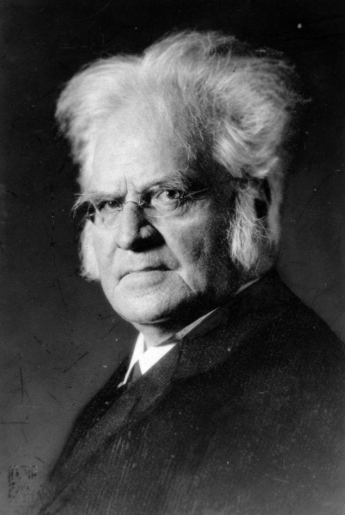 Detail of Portrait of Norwegian writer Bjoernstjerne Bjoernson by German Photographer