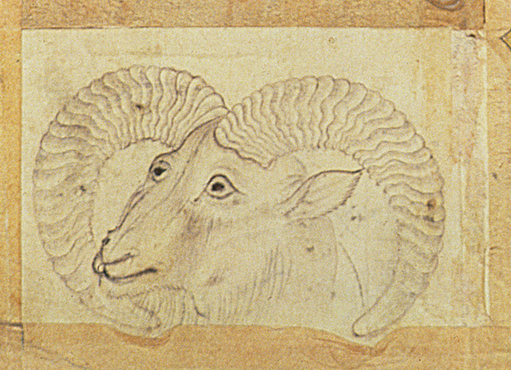 Detail of Detail of a ram from 'Transporting Ceramics by School Chinese