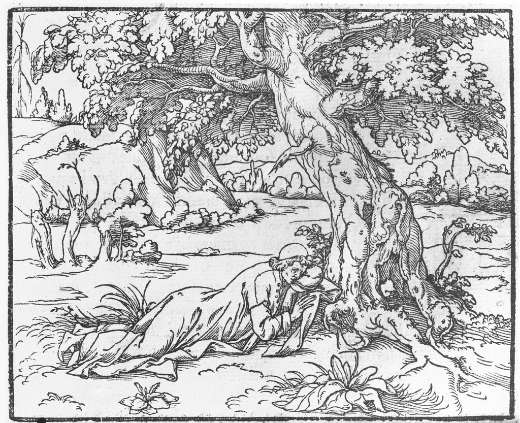 Detail of Page from 'Discours du Songe de Poliphile', by Francesco Colonna, 1546 by French School