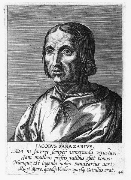 Detail of Jacopo Sannazaro by French School