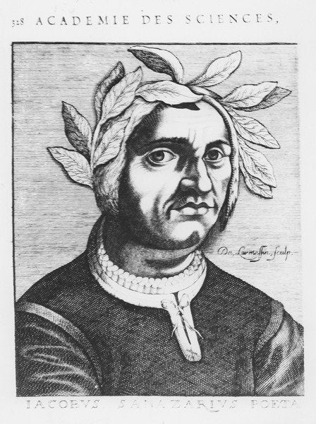 Detail of Jacopo Sannazaro by French School