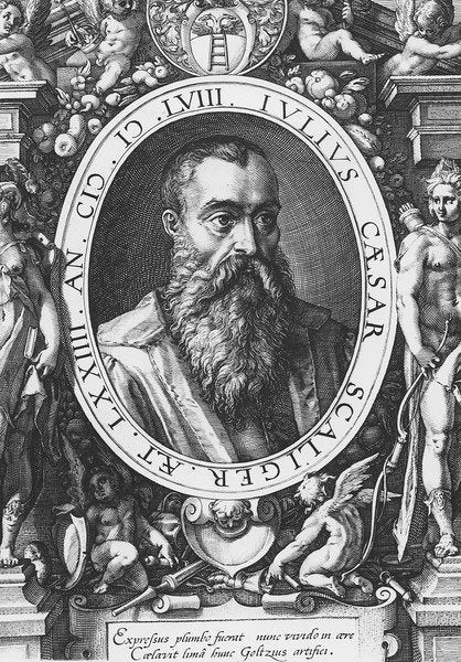 Detail of Julius Caesar Scaliger by French School