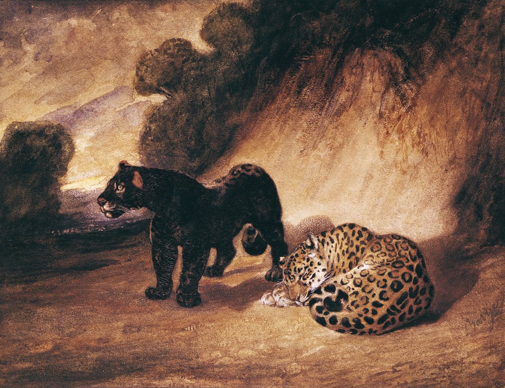 Detail of Two Jaguars from Peru by Antoine Louis Barye