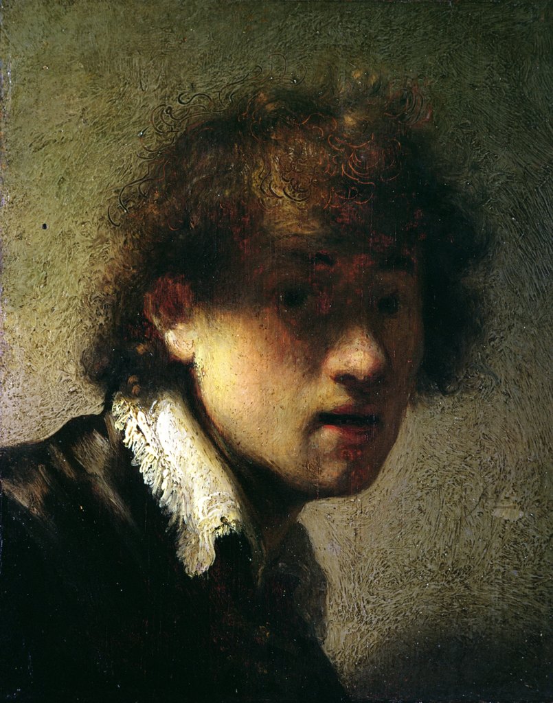 Detail of Self-portrait, 1629 by Rembrandt Harmensz. van Rijn