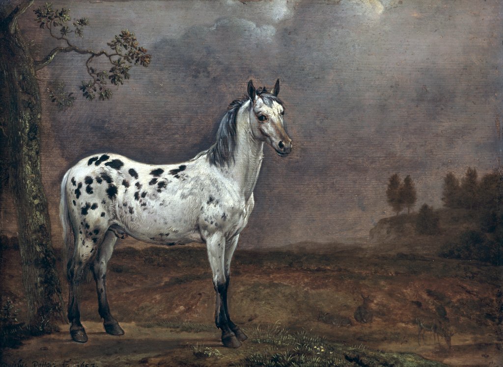 Detail of The Piebald Horse, 1653 by Paulus Potter