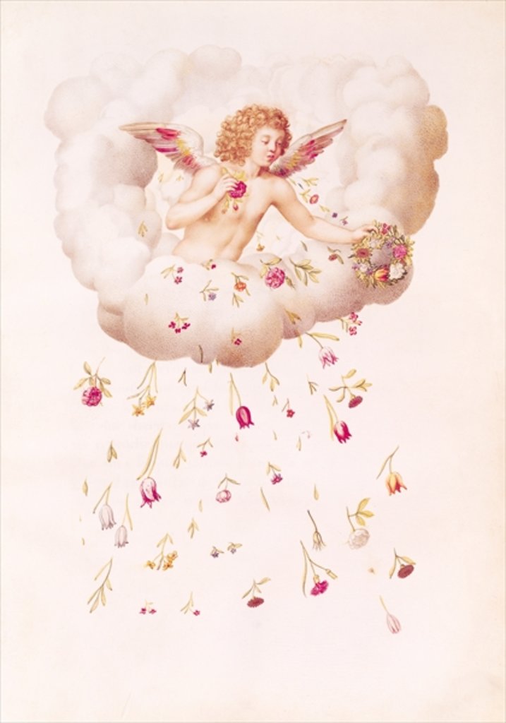 Detail of Zephyr from 'La Guirlande de Julie', c.1642 by Nicolas Robert