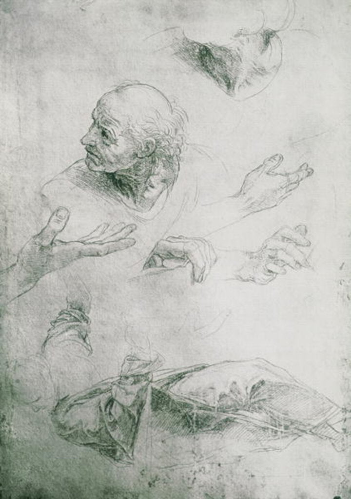 Detail of Studies for the Figure of Bramante by Raphael