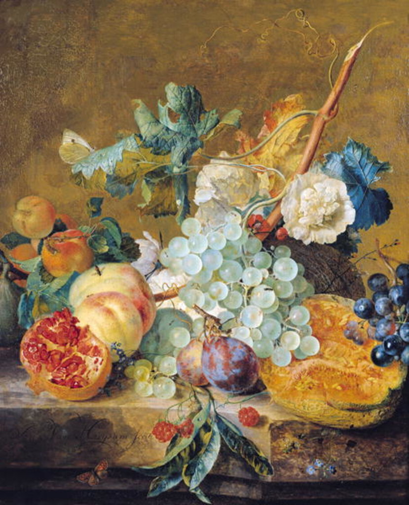 Detail of Flowers and Fruit, 18th century by Jan van Huysum
