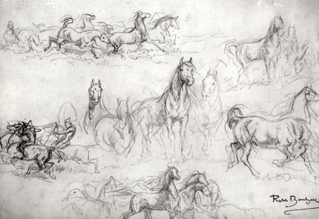 Detail of Study of Horses by Rosa Bonheur