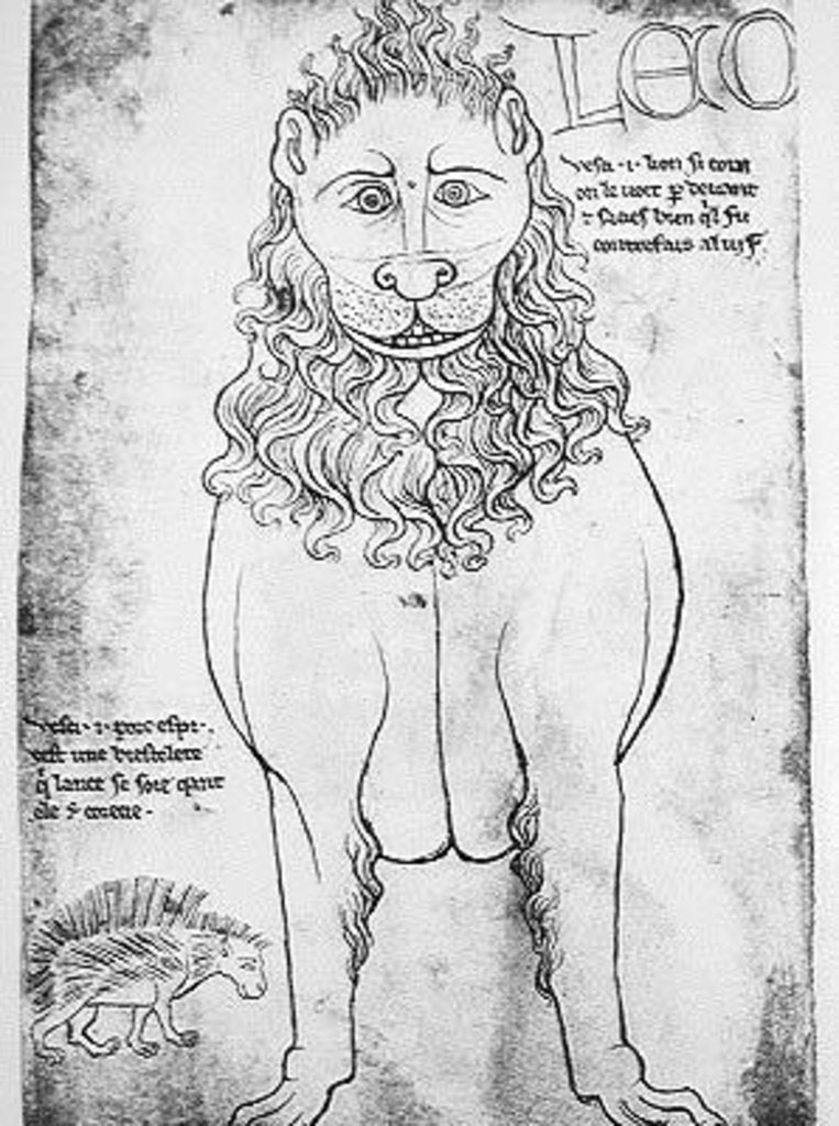 Detail of Ms Fr 19093 fol.24v Lion and Porcupine by Villard de Honnecourt