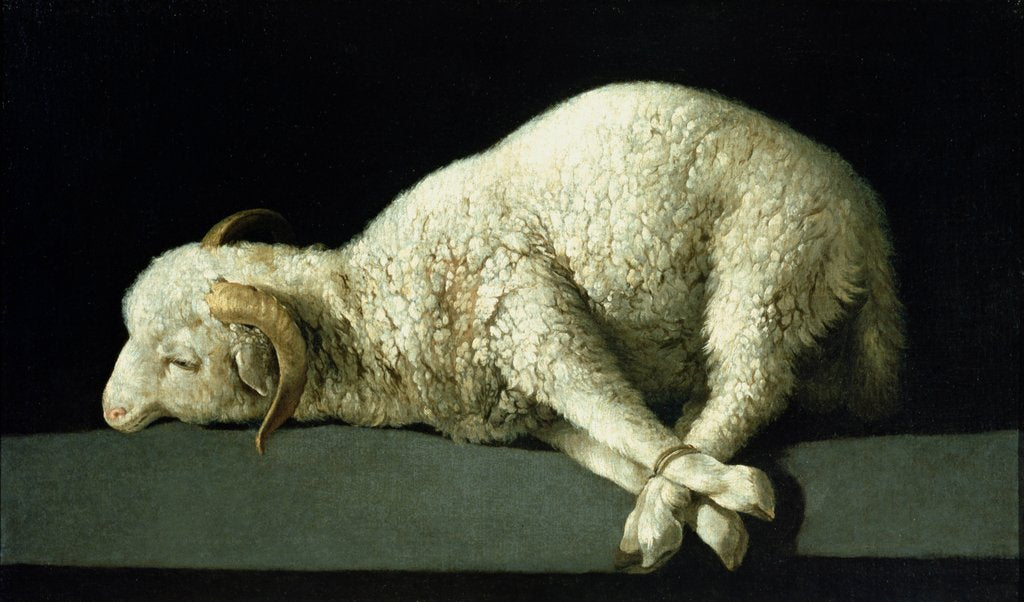 Detail of Agnus Dei, c.1635-40 by Francisco de Zurbaran