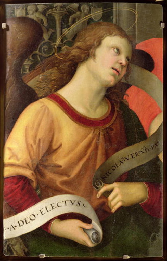 Detail of Angel by Raphael (1483-1520)