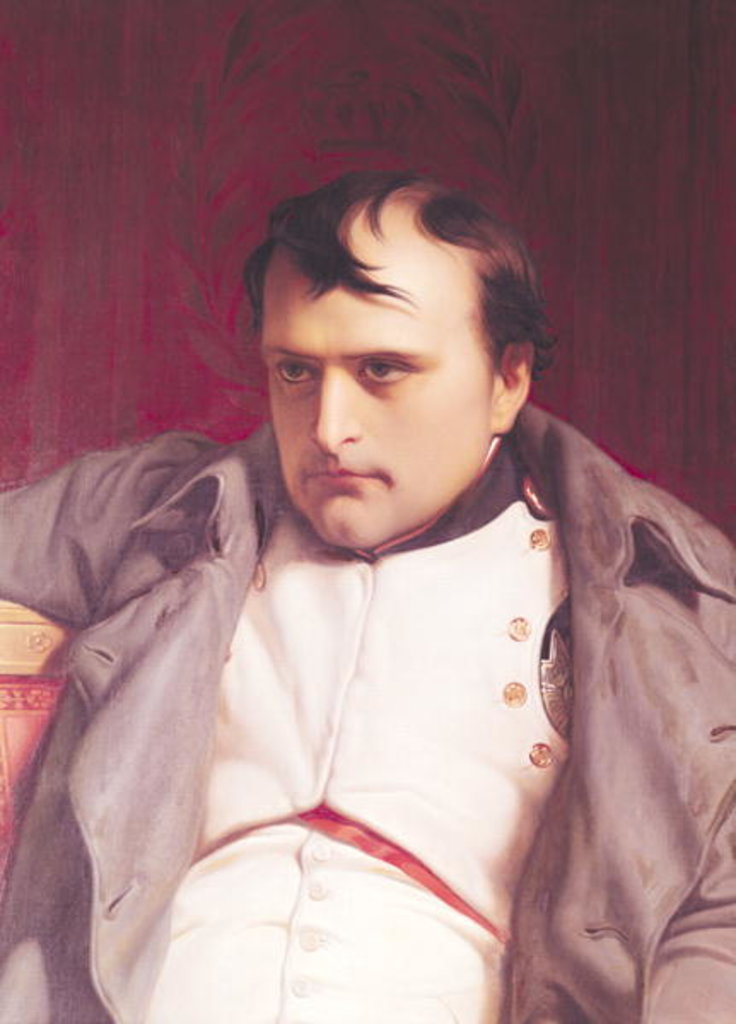 Detail of Napoleon after his Abdication by Hippolyte Delaroche