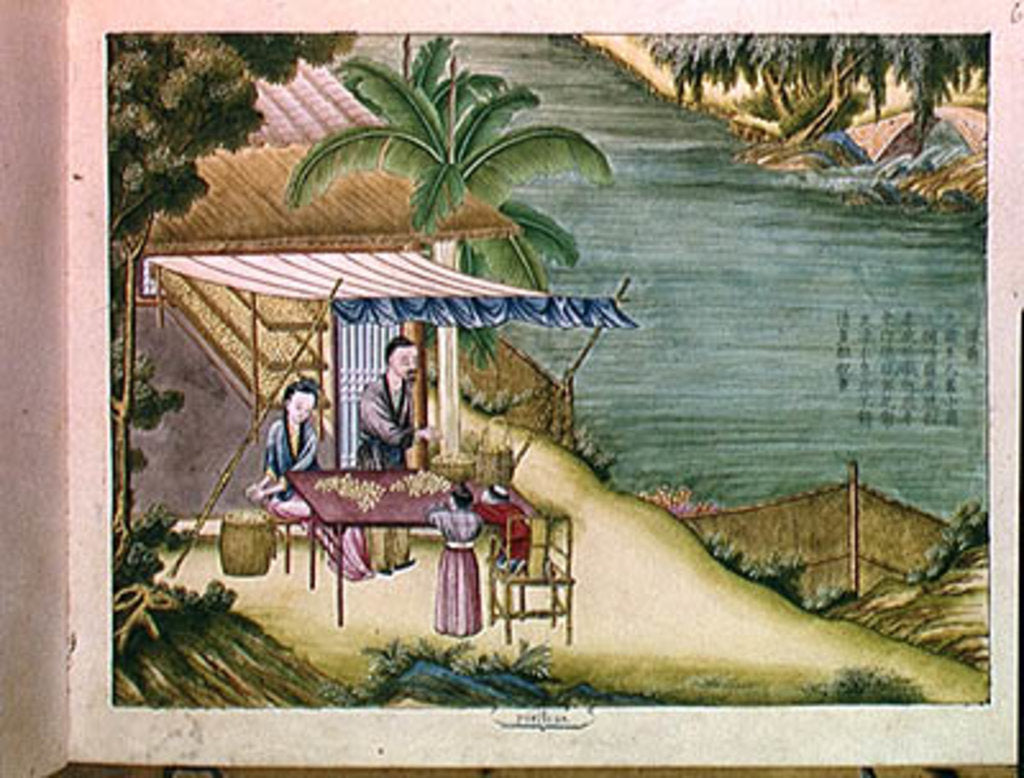 Detail of Ms 202 f.6 Sorting the Cocoons by School Chinese
