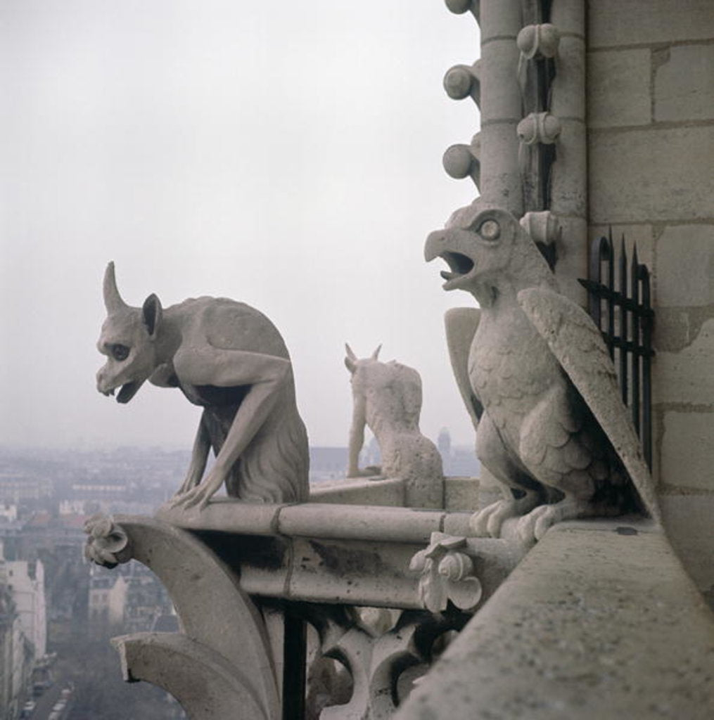Detail of Gargoyles on the balustrade of the Grande Galerie by Eugene Emmanuel Viollet-le-Duc