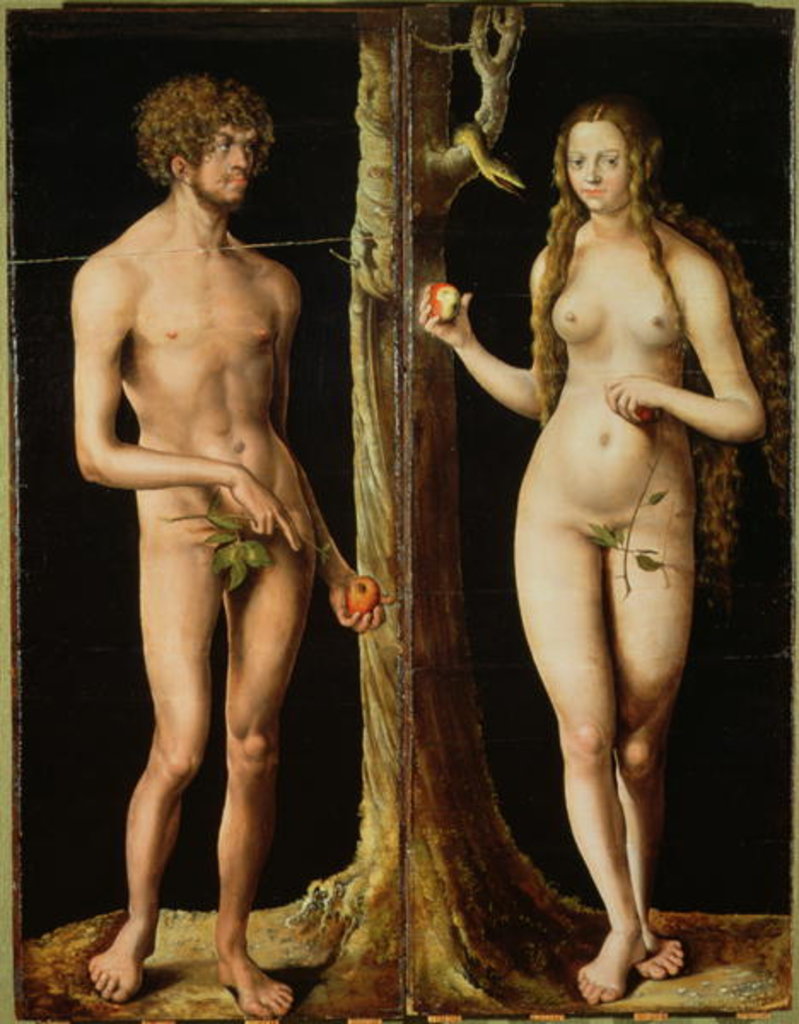 Detail of Adam and Eve, c.1508-10 by Lucas the Elder Cranach