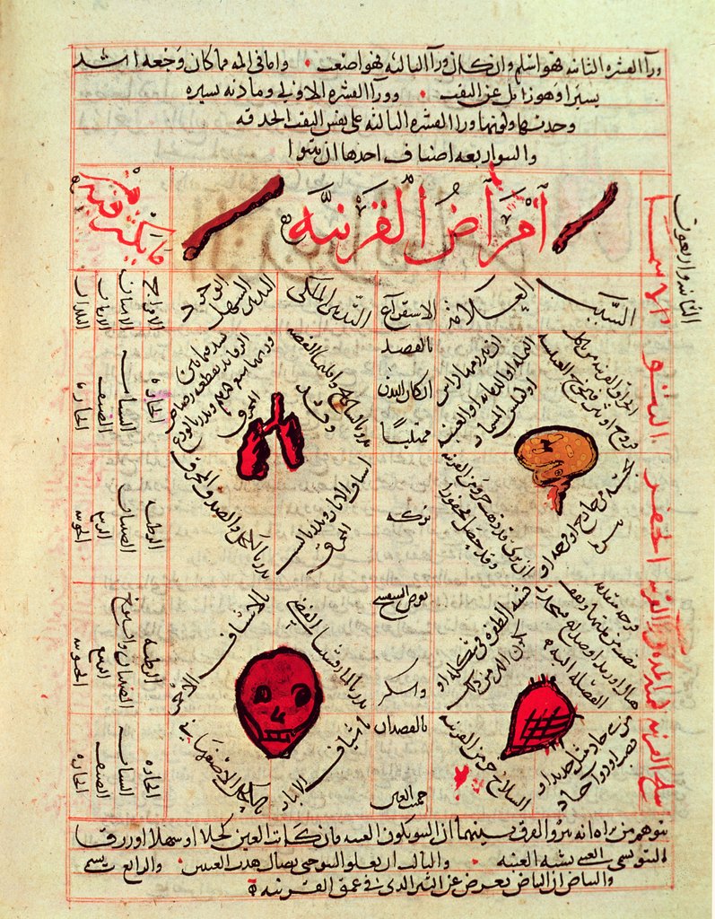 Detail of Page from the 'Canon of Medicine' by Avicenna, 14th century by Islamic School