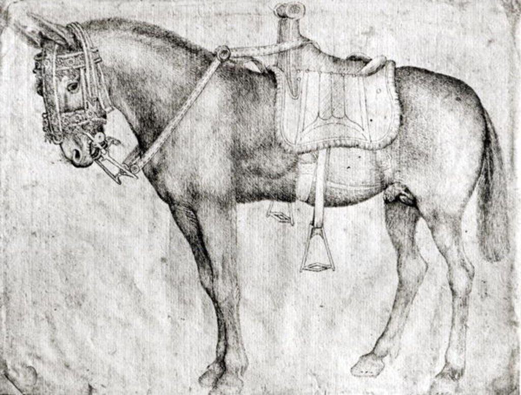 Detail of Mule by Antonio Pisanello