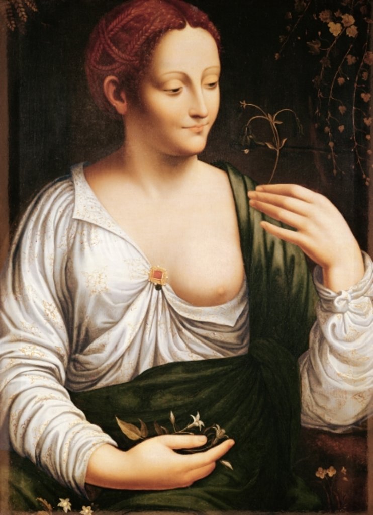 Detail of Columbine by School of Leonardo da Vinci