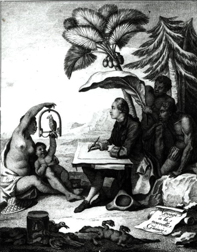 Detail of Pierre Sonnerat Drawing a Bird by Pierre Sonnerat