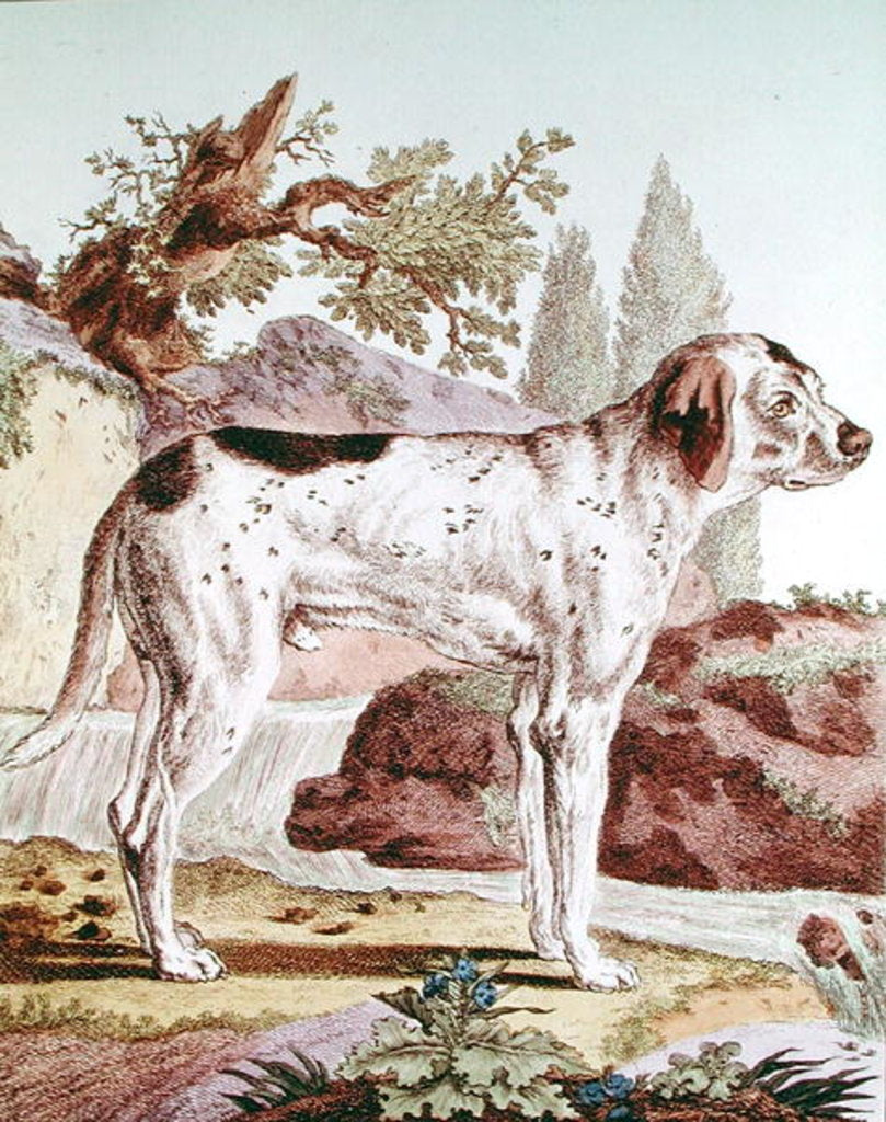 Detail of A Pointer by School French