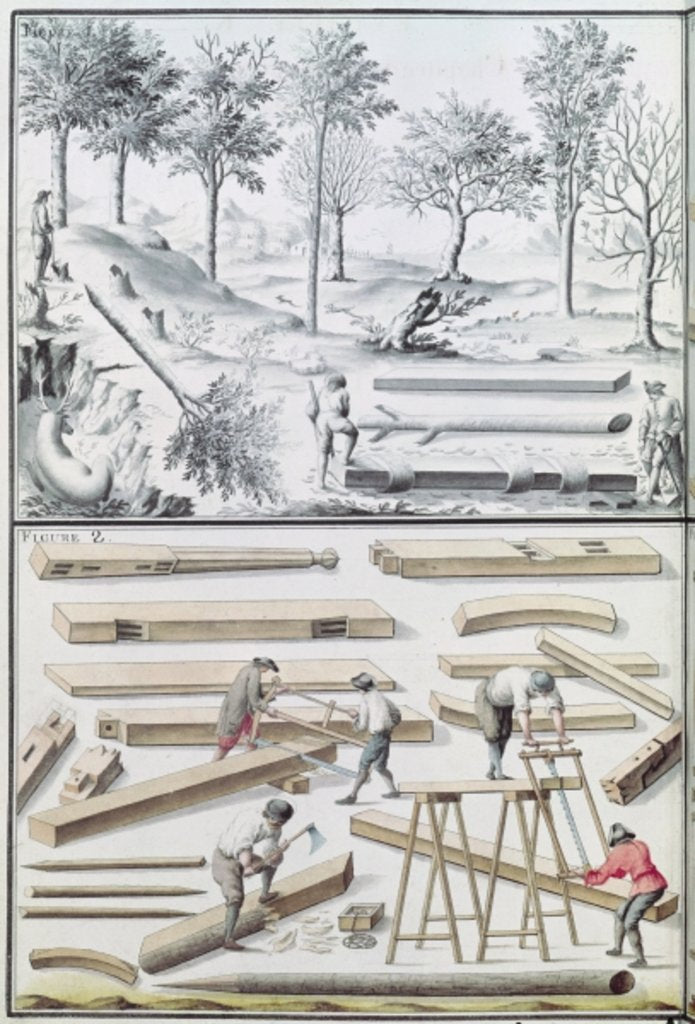 Detail of Ms 131k Different species of tree and sawing logs by Claude Masse