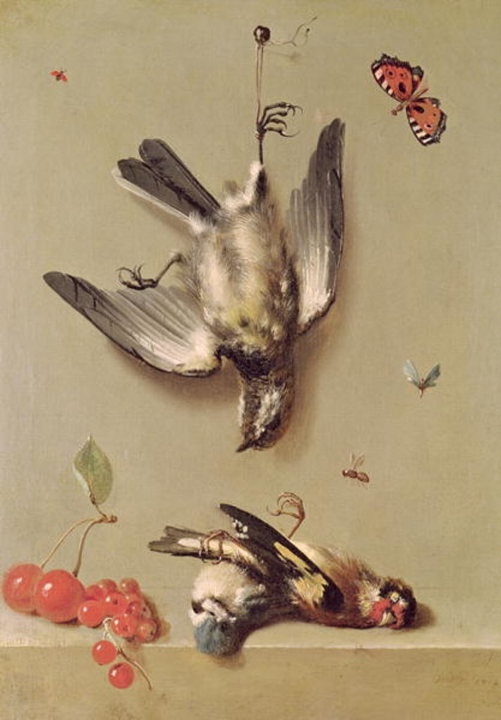 Detail of Still Life of Dead Birds and Cherries, 1712 by Jean-Baptiste Oudry
