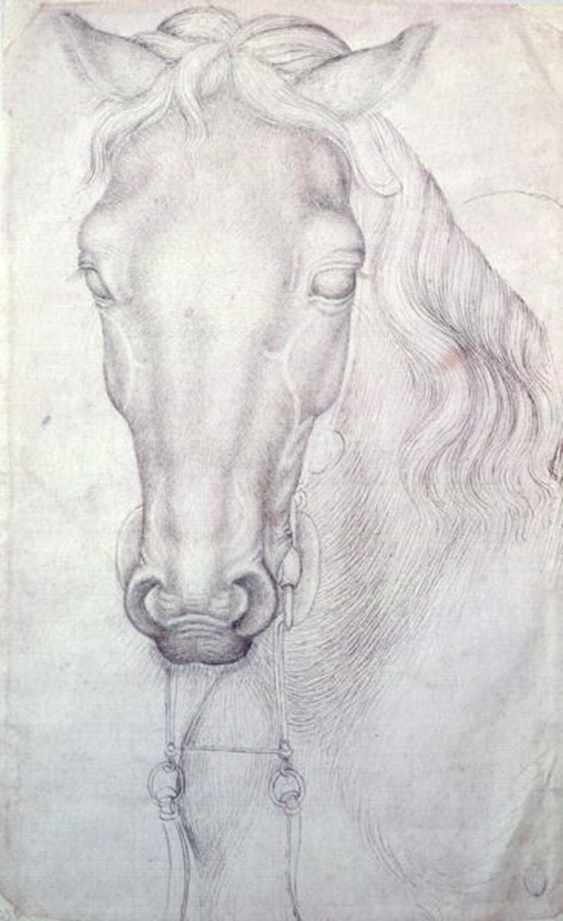 Detail of Head of a Horse by Antonio Pisanello
