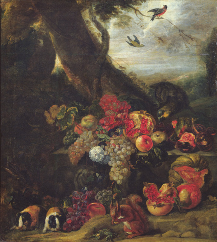 Detail of Fruit and Animals by Abraham Brueghel