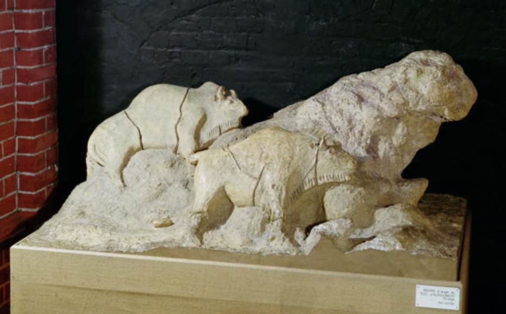 Detail of Copy of a sculpture of bisons, from Le Tuc-d'Audoubert, Magdalenian by School French
